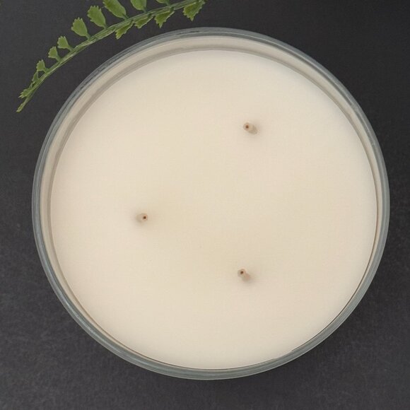 BBW Stranger Things Argyle's Pineapple Pizza Bath & Body Works 3 Wick Candle - Picture 8 of 11